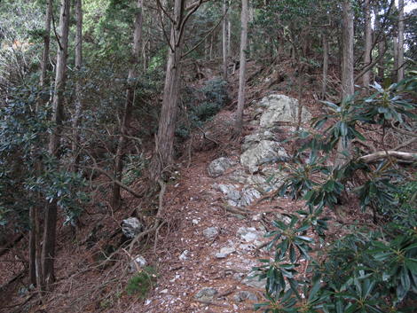 20131124hike (250)